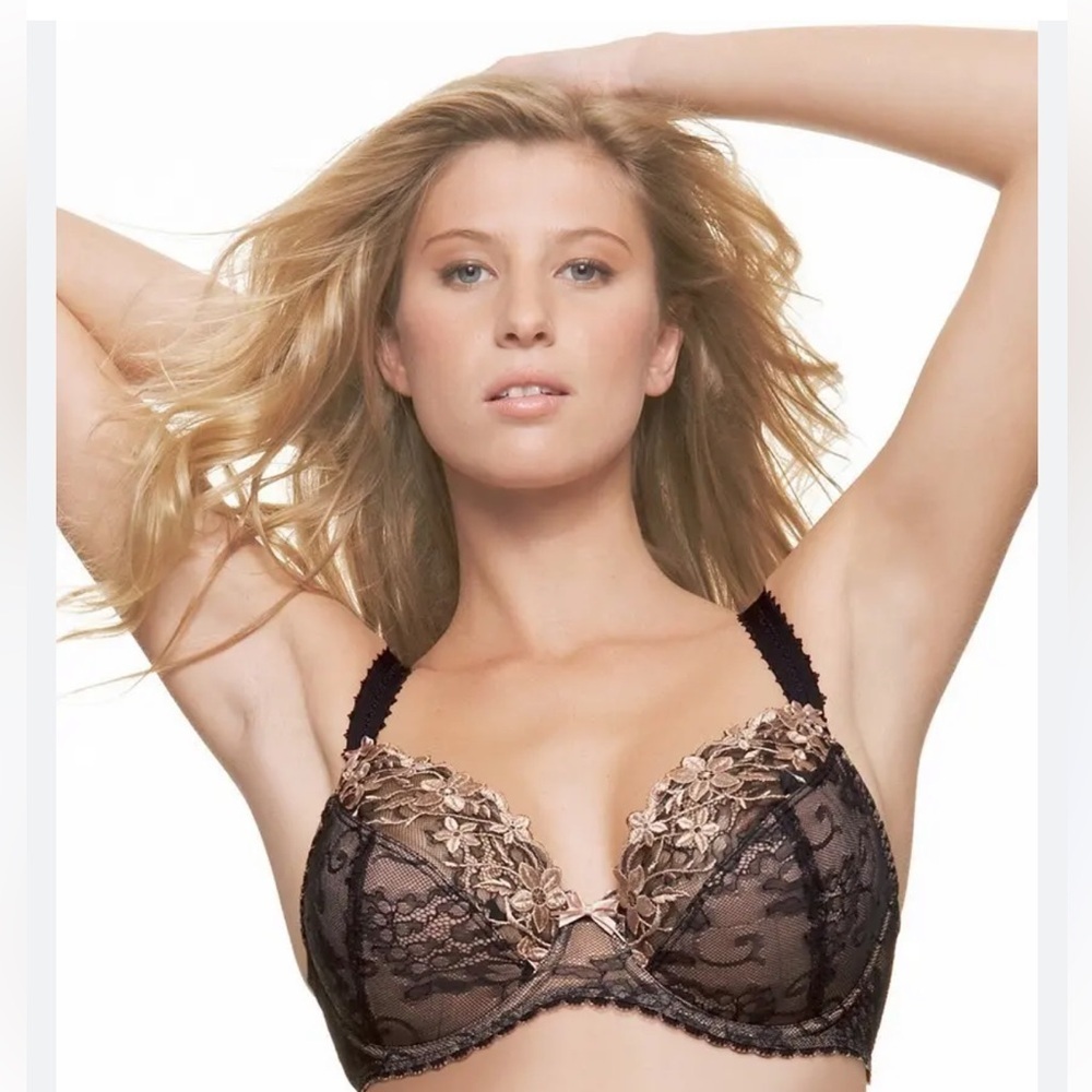 Fantasie Bridgette Black Lace Bra - Picture 1 of 11